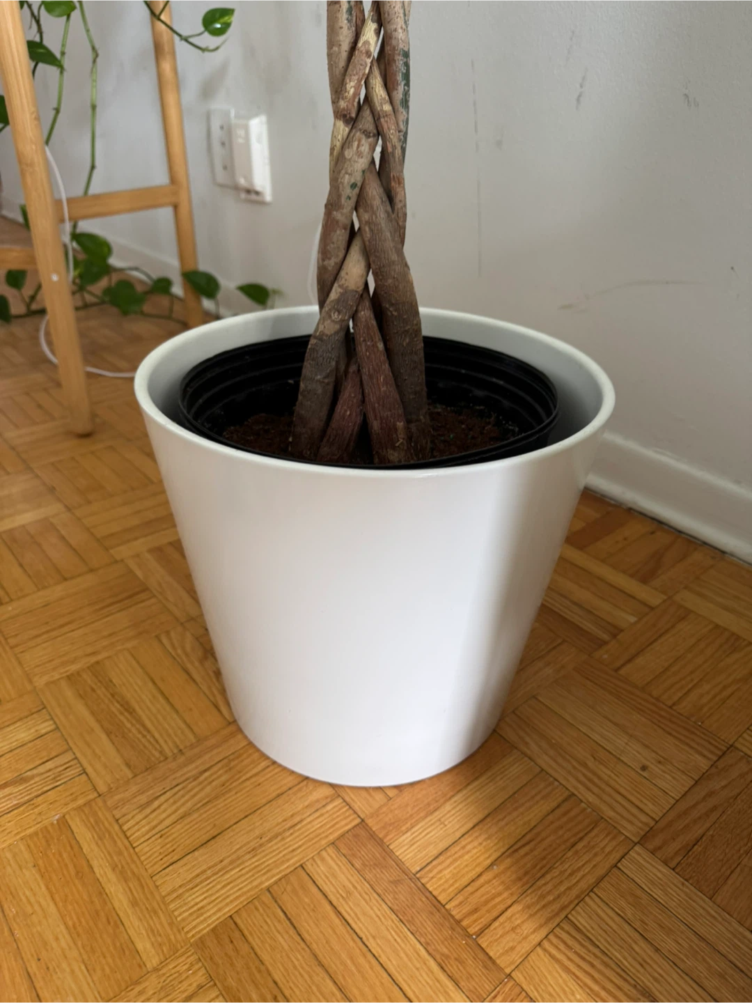 Large Round Planters - Set of 2