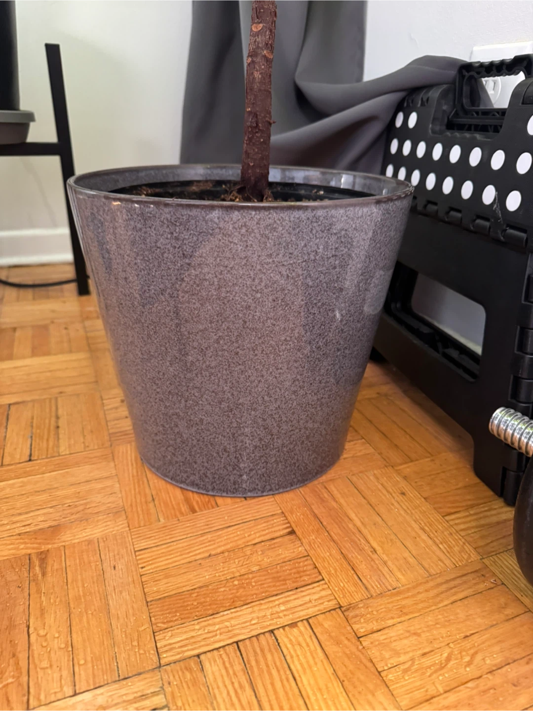 Large Round Planters - Set of 2 - photo 2
