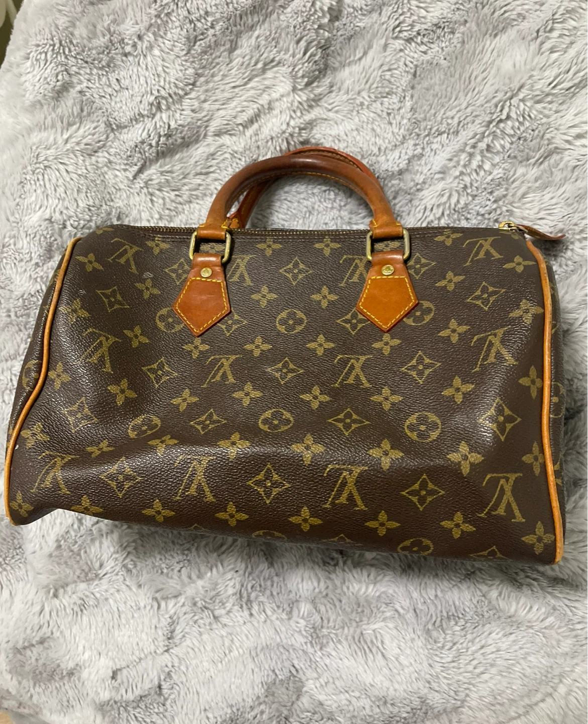 Louis Vuitton Speedy Monogram Handbag