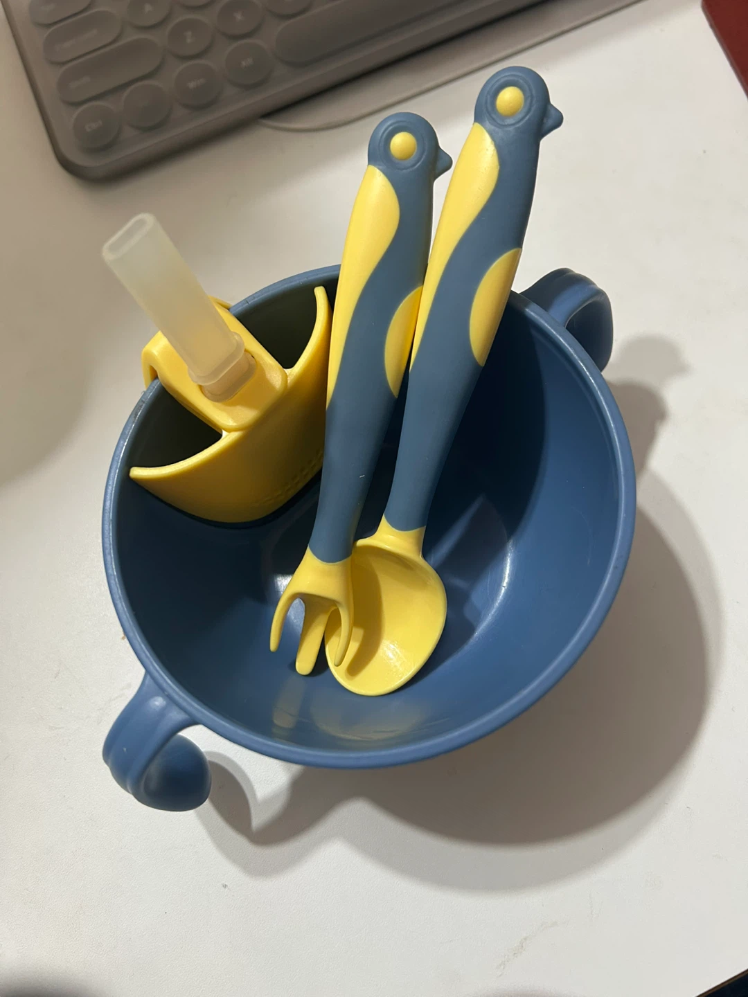 Toddler Feeding Bowl Set with Utensils