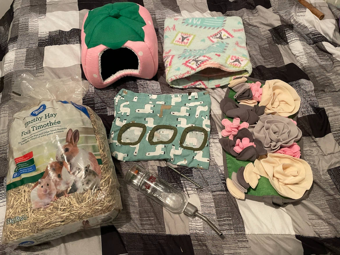 Guinea Pig Accessories Lot