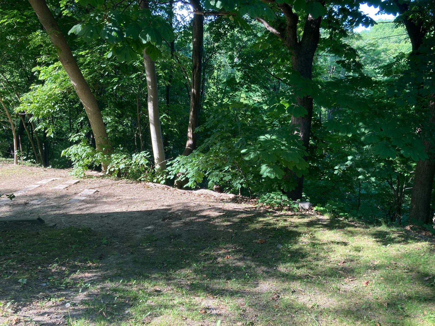 Studio or Room Needed ASAP