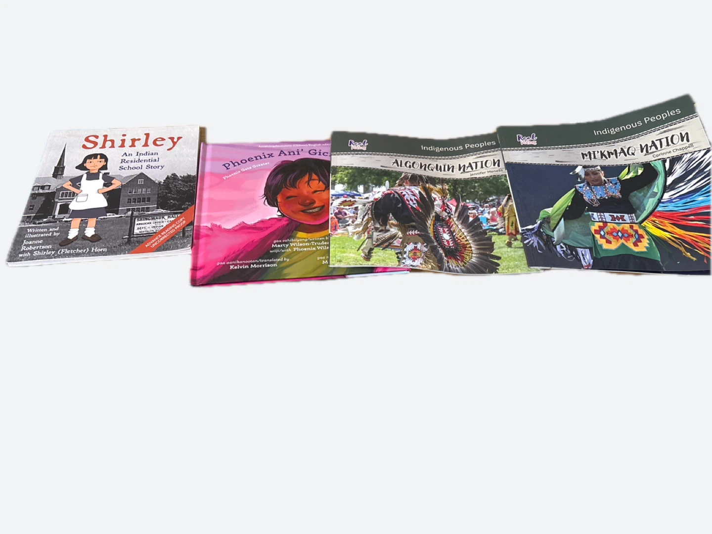 Set of 4 Indigenous Heritage Books - photo 2