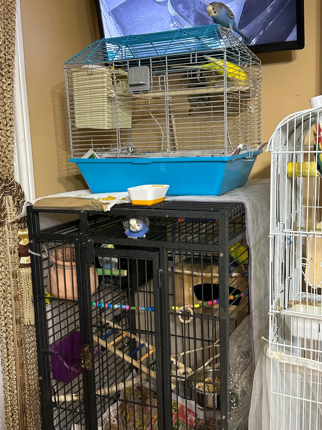 Rolling Metal Wrought Iron Bird Cage with Play Top - photo 3