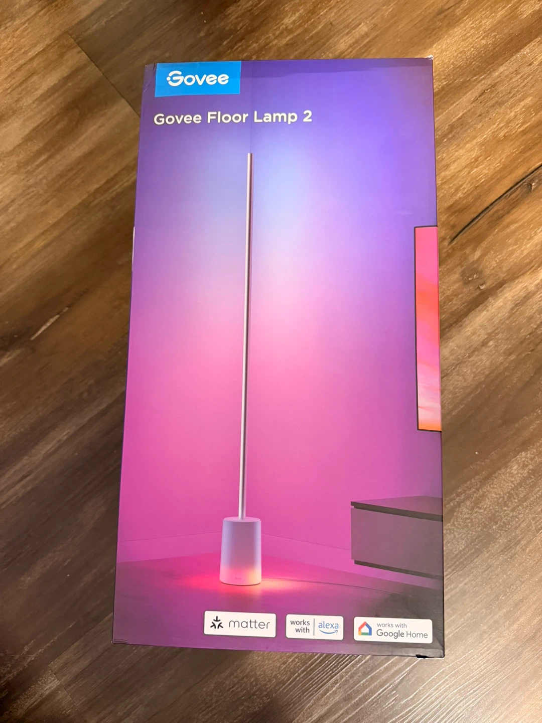 Govee Floor Lamp 2