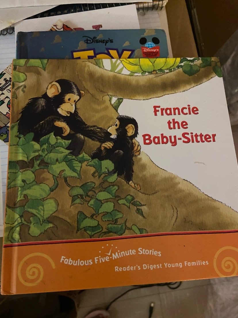 Francie the Baby-Sitter Children's Book