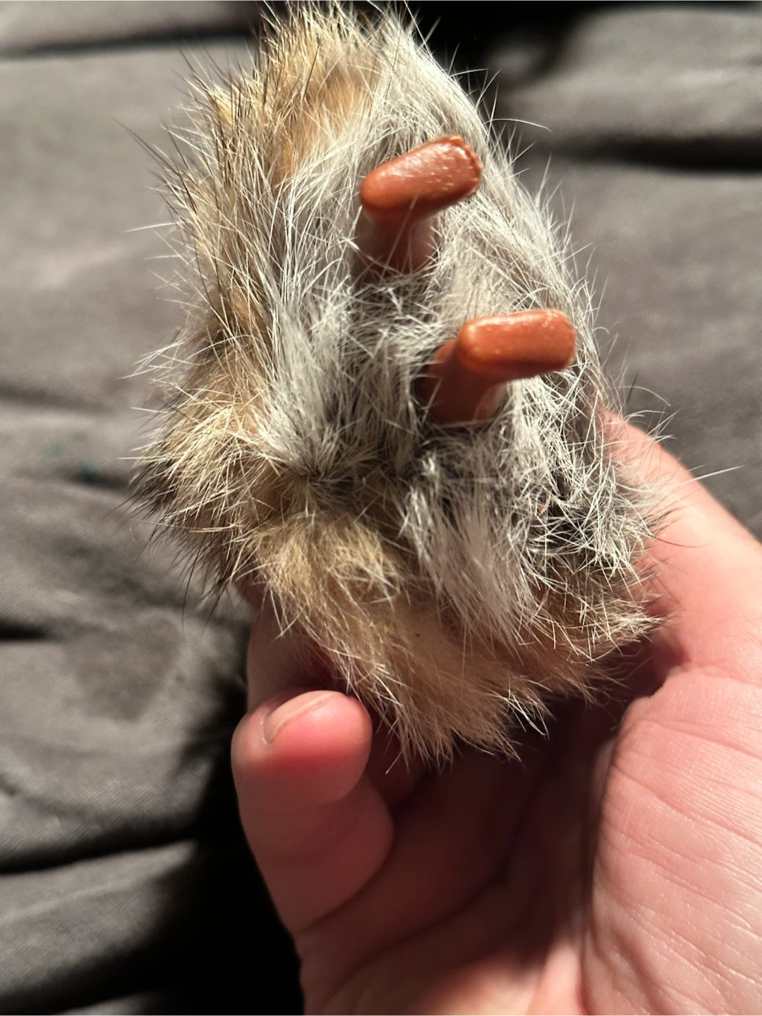 Vintage 5” Fur Inuit Souvenir Doll - photo 2