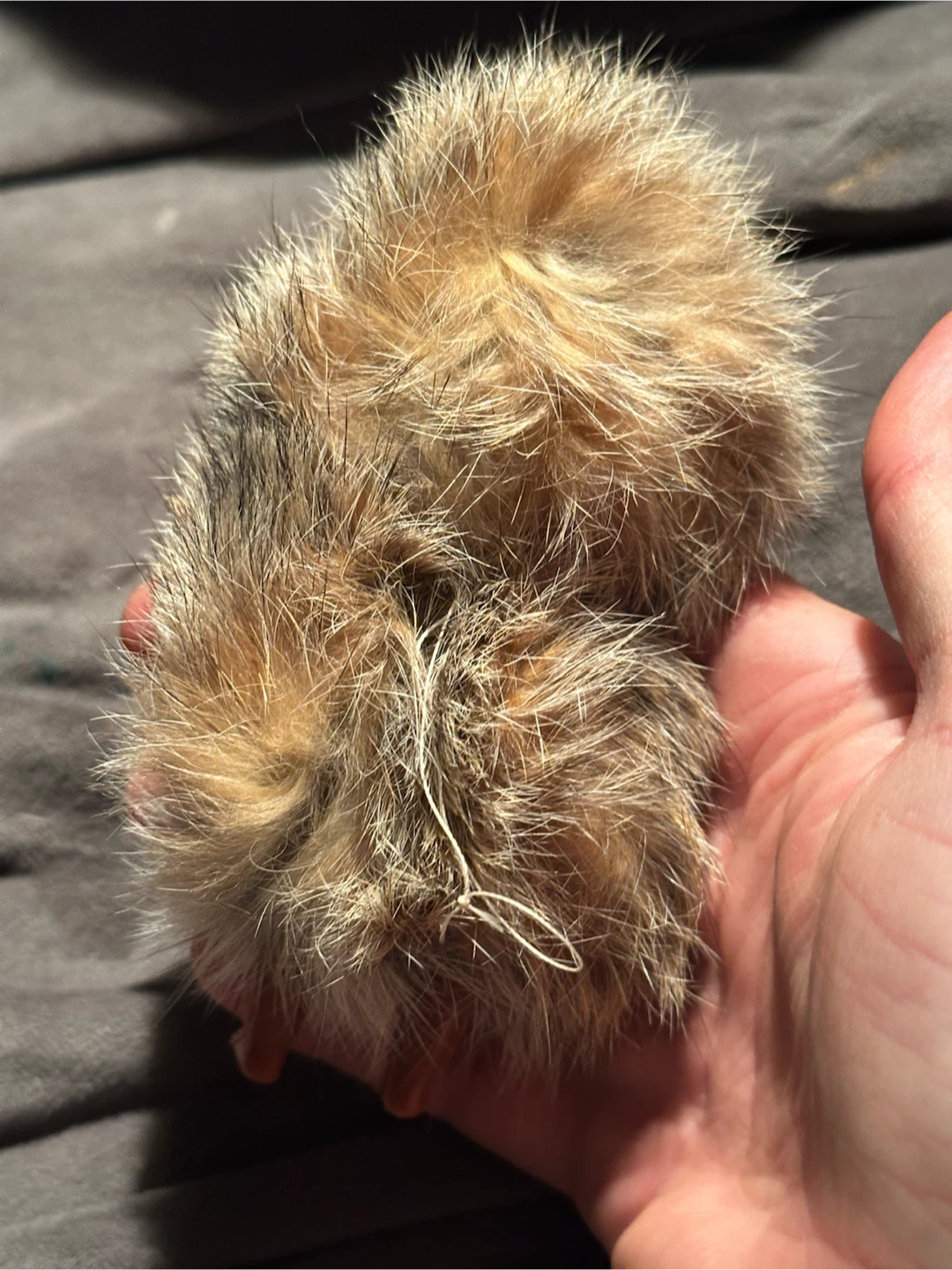 Vintage 5” Fur Inuit Souvenir Doll - photo 3