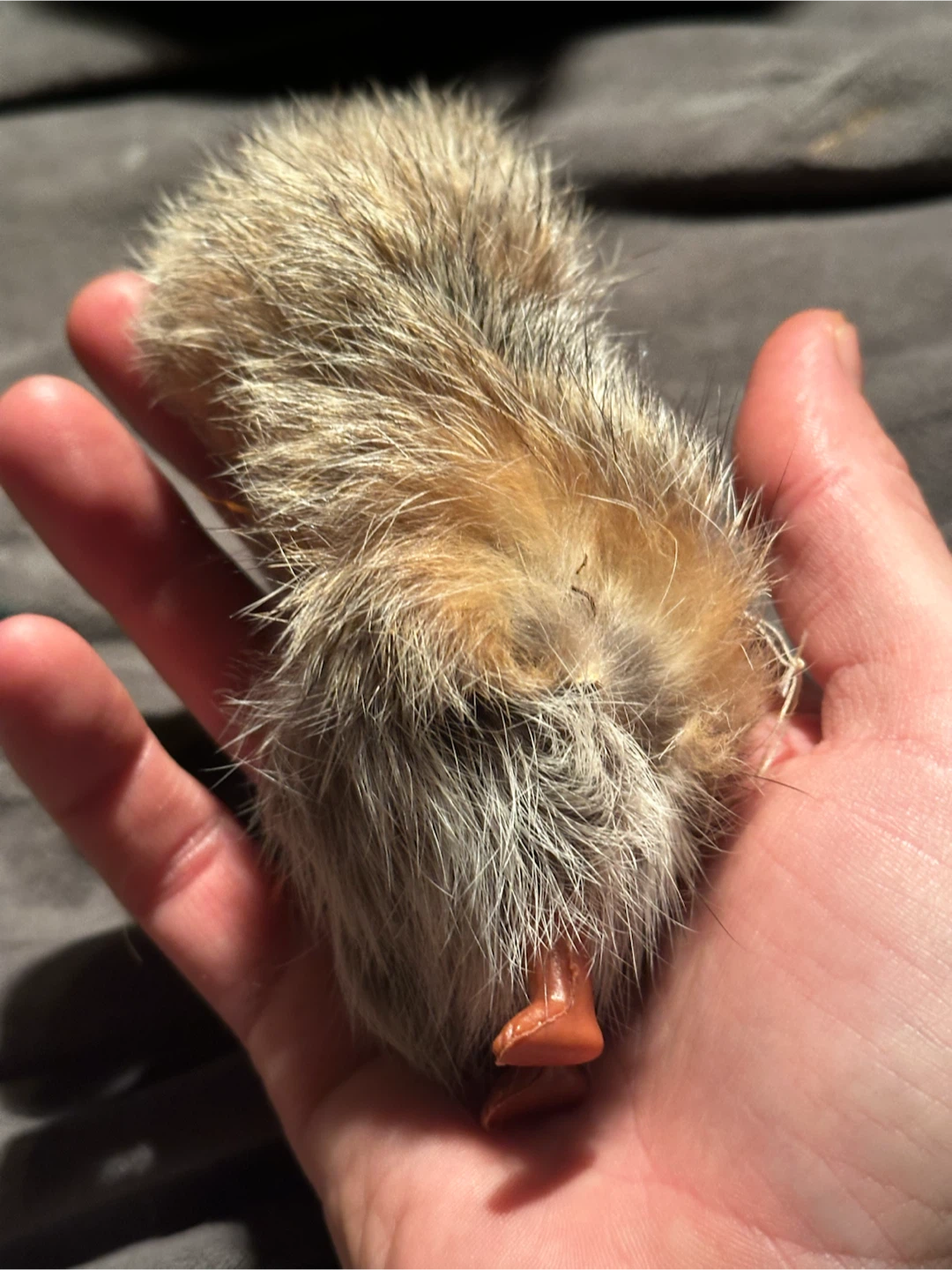 Vintage 5” Fur Inuit Souvenir Doll - photo 4