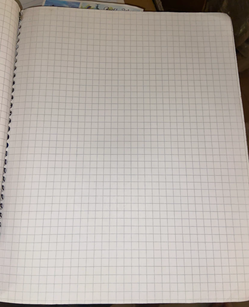 Spiral Bound Graph Paper Notebook - photo 2
