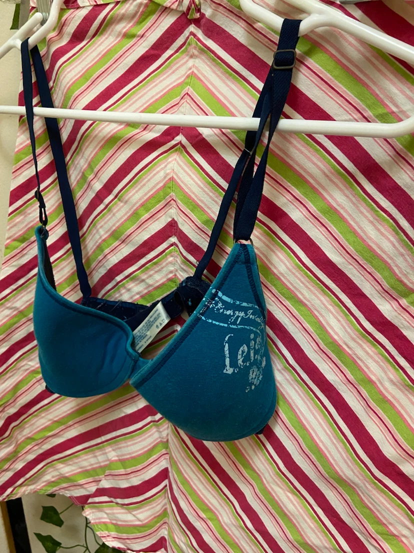 Lei Blue Bra Size 34B