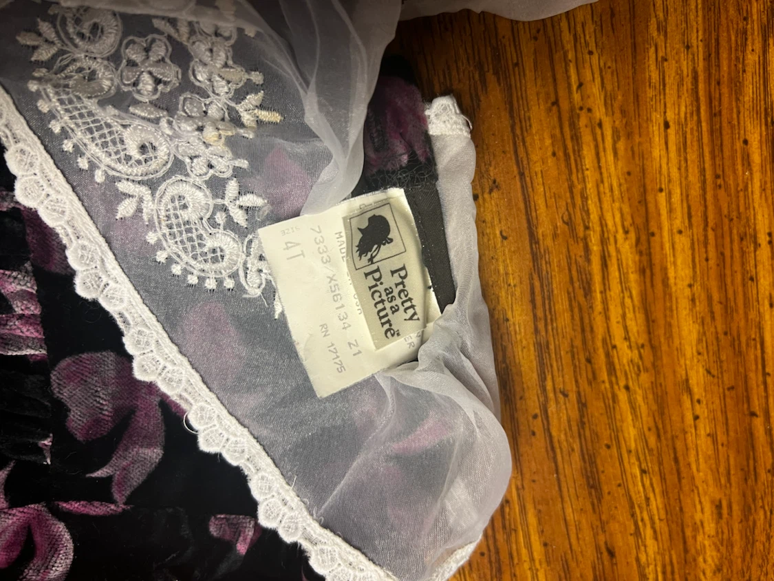 Pretty as a Picture Velvet Dress Size 4T - photo 2