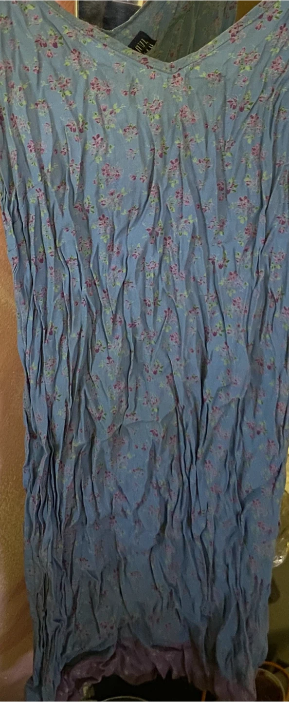 Gap Dress Floral Blue