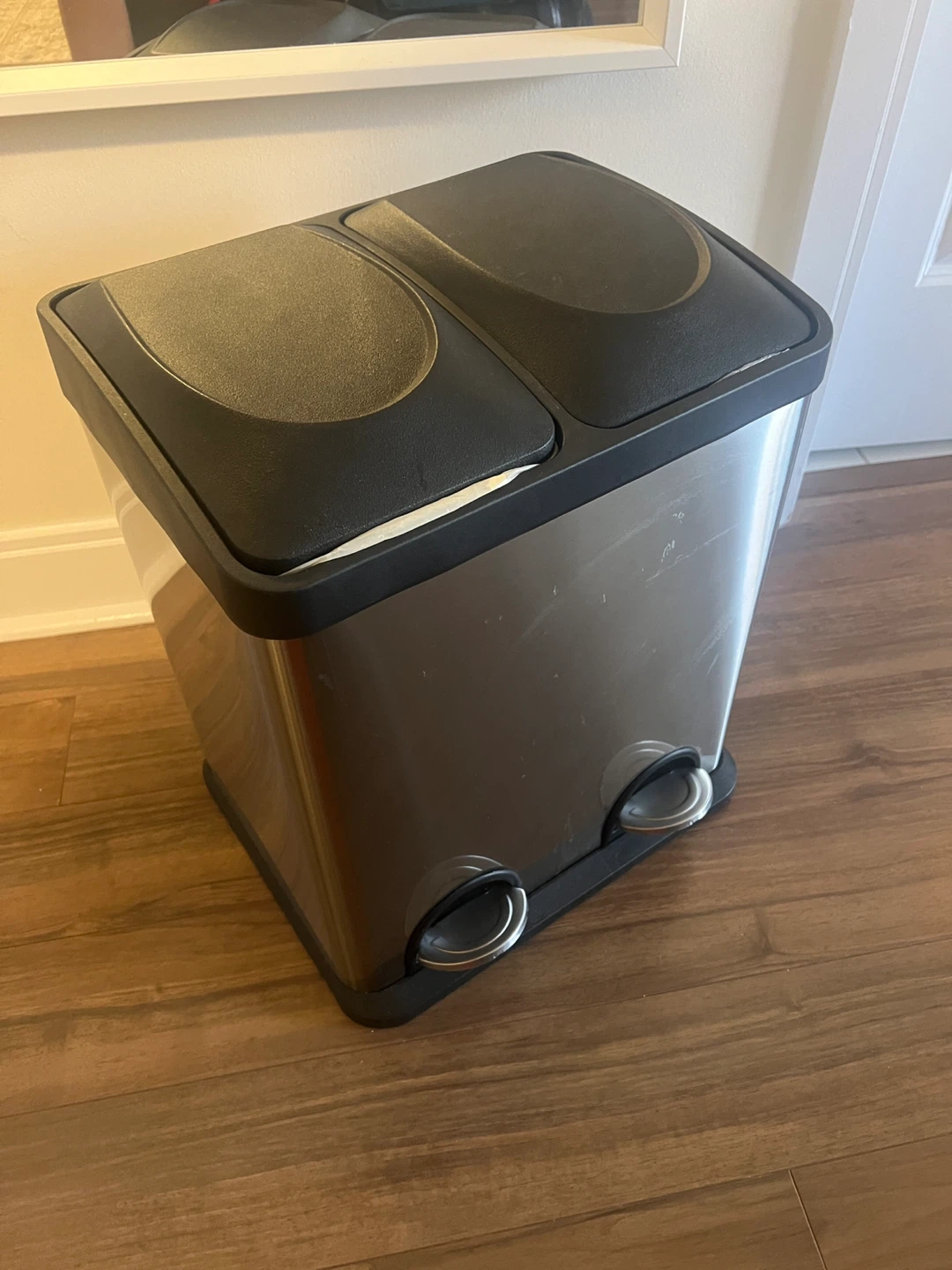 Stainless Steel Double Pedal Bin