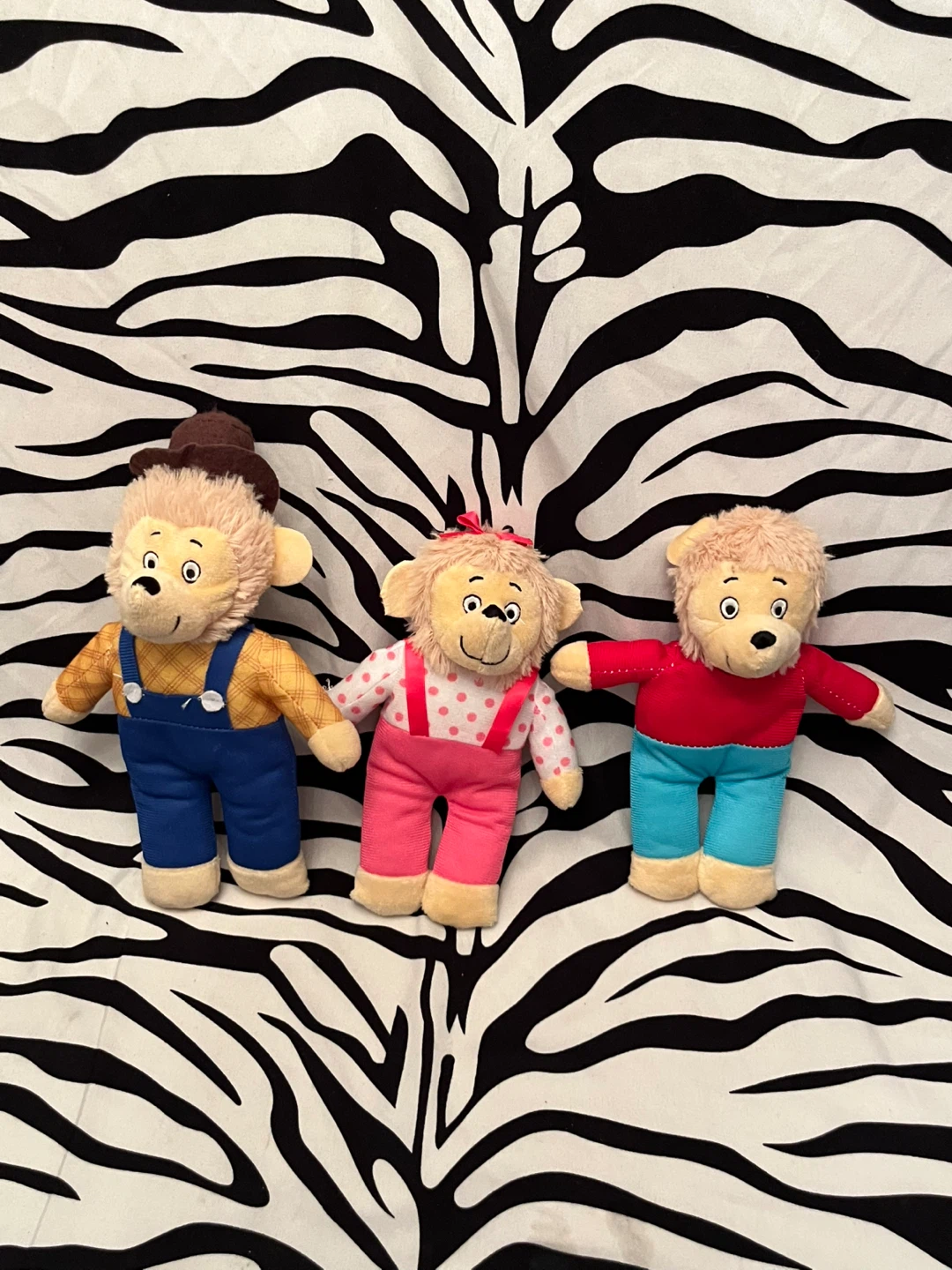 💙 Lot of 3 The Berenstain Bears Plush Toys 💙 - photo 2