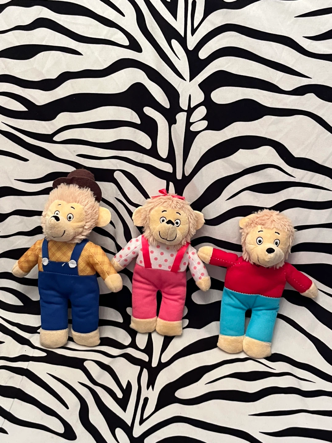 💙 Lot of 3 The Berenstain Bears Plush Toys 💙 - photo 4