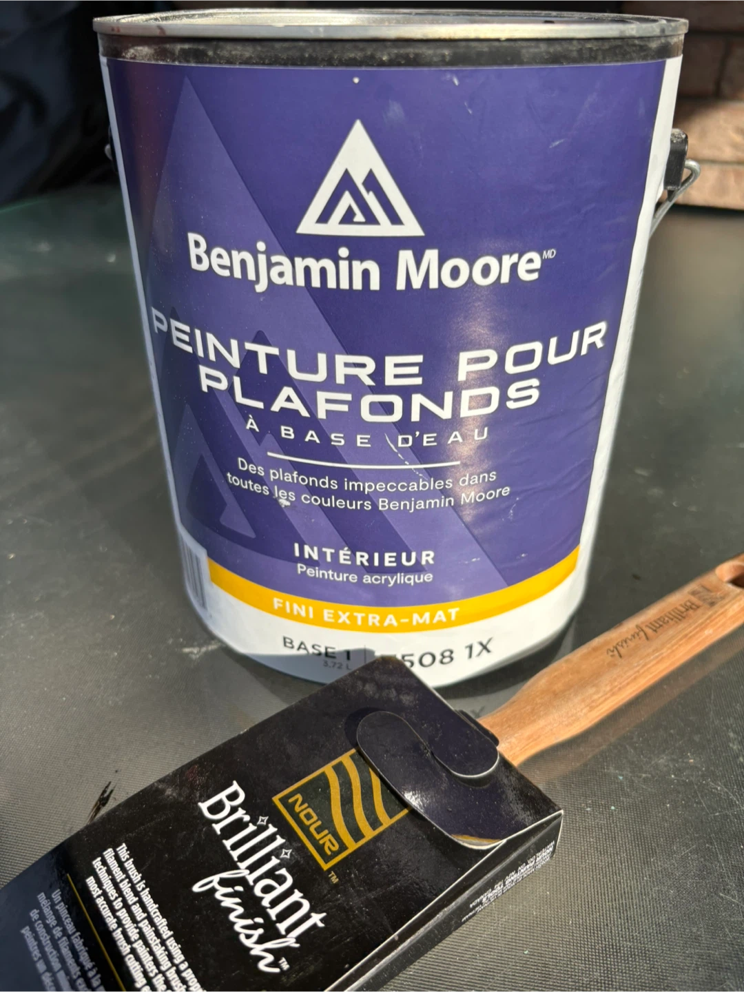 Benjamin Moore Ceiling Paint and Nour Paint Brush - photo 2