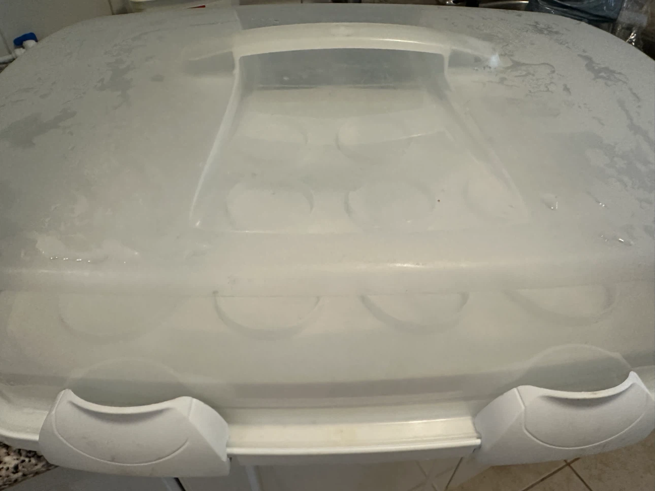 Cupcake and Muffin Carrier