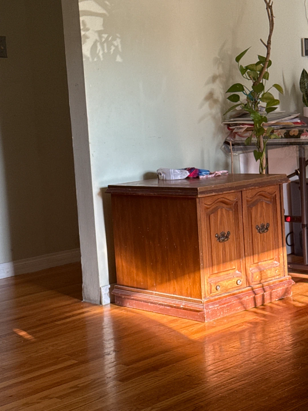 Wooden storage cabinet