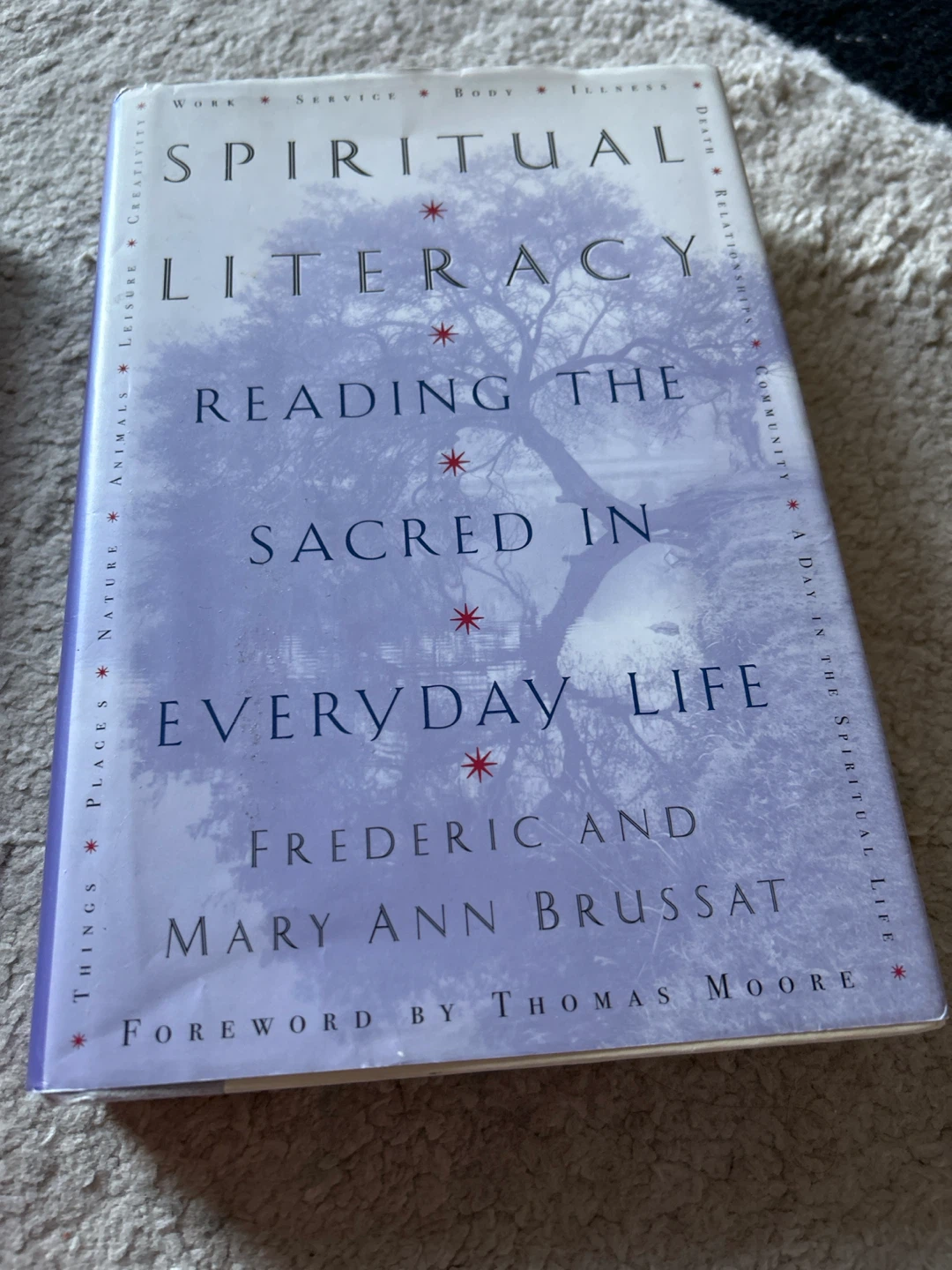 Two Non-Fiction Books: Spiritual Literacy and Espionage - photo 3
