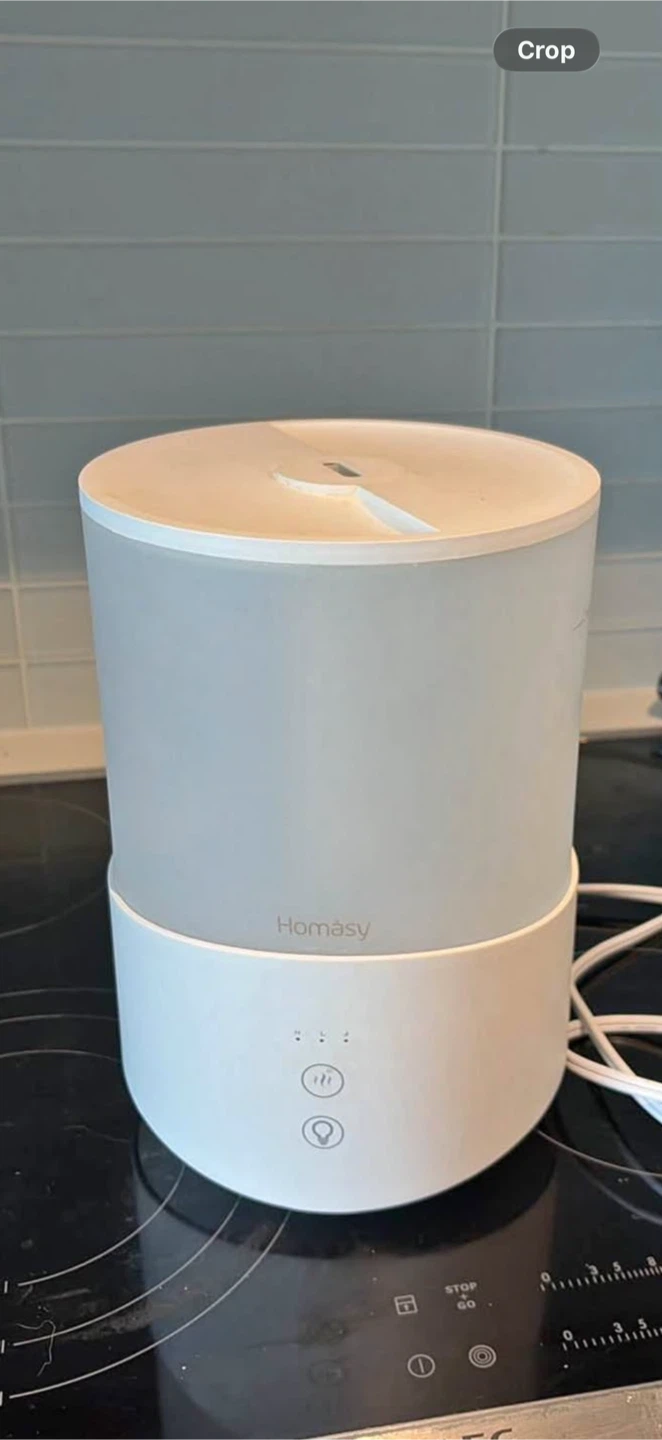 Homasy Humidifier