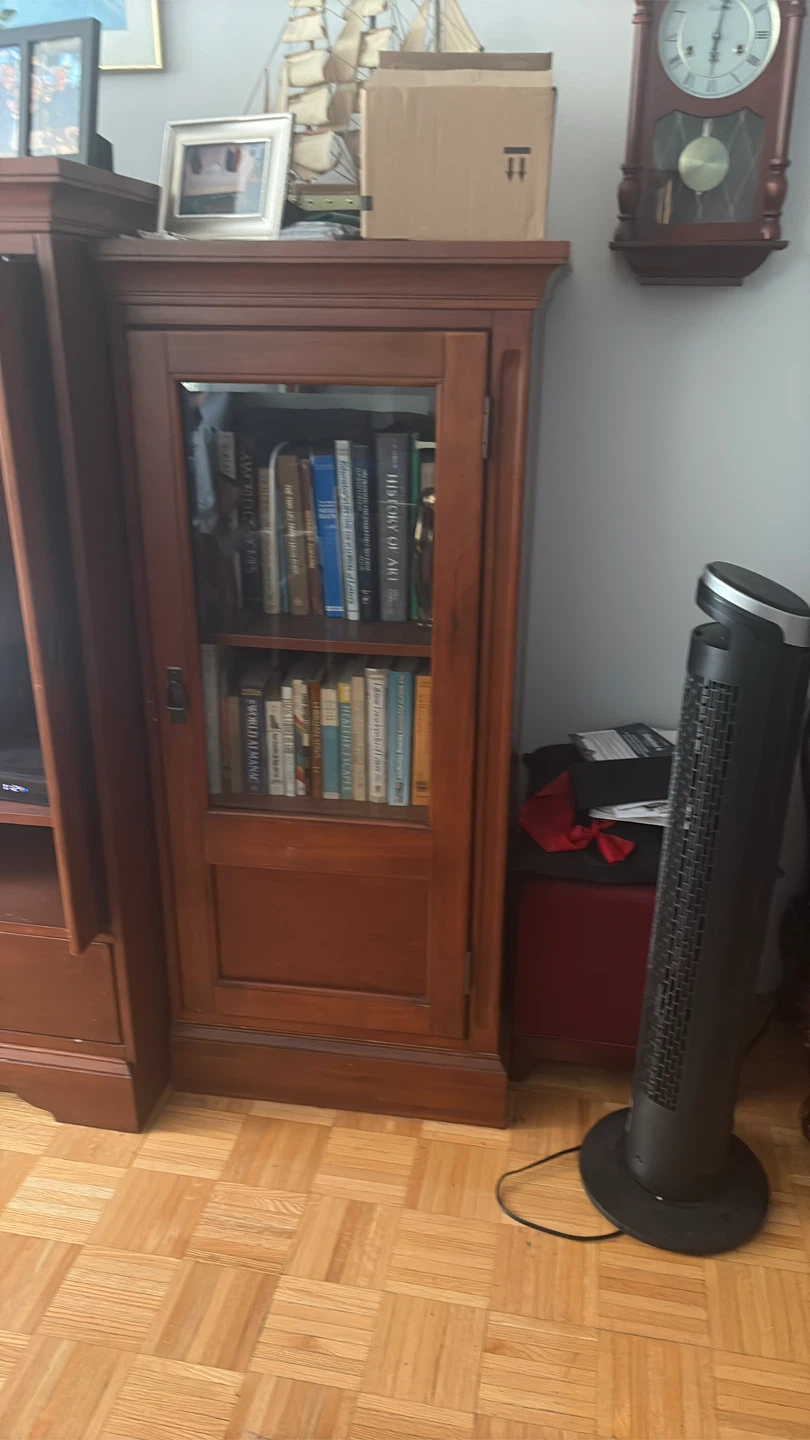 Wooden Display Cabinet with Glass Door