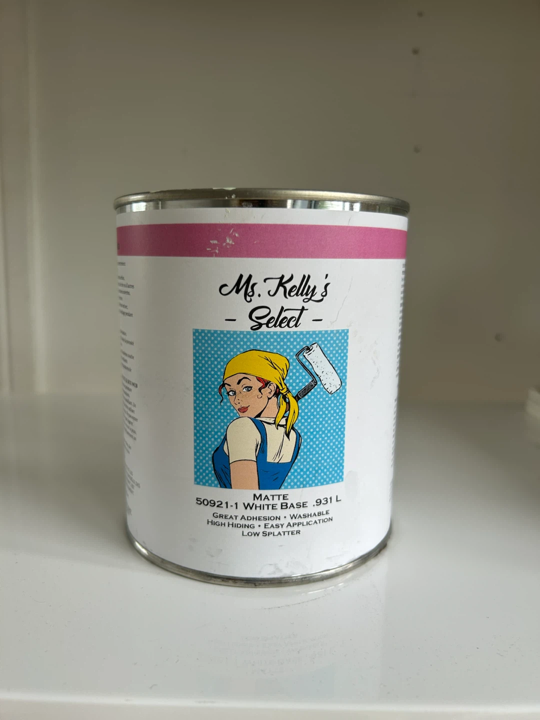 Matte Wall Paint – Behr Spice Garden M370-3