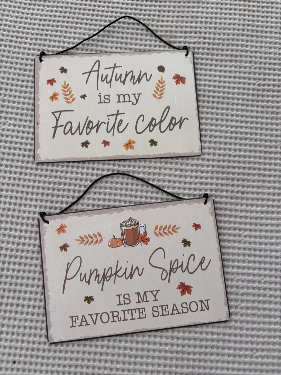 Set of 2 Autumn Decorative Hanging Signs