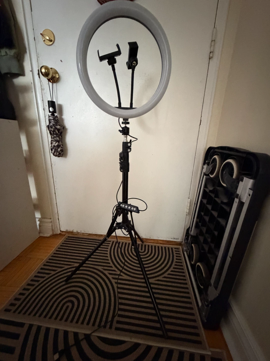 LED Ring Light with Tripod Stand