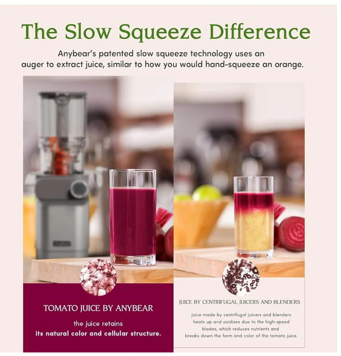 Anybear Juice Master Slow Juicer - photo 2
