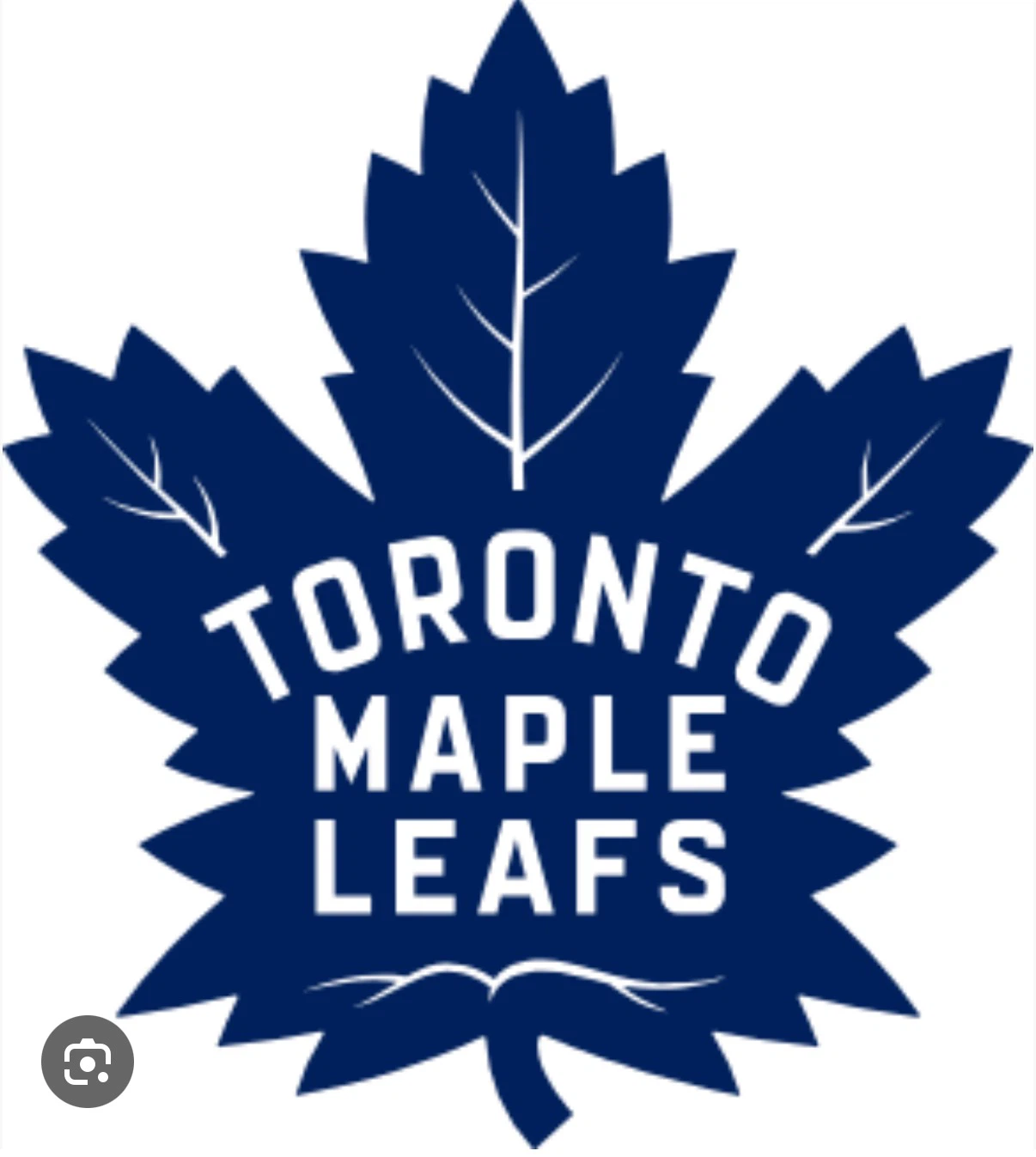 Leafs tickets Nov 8
