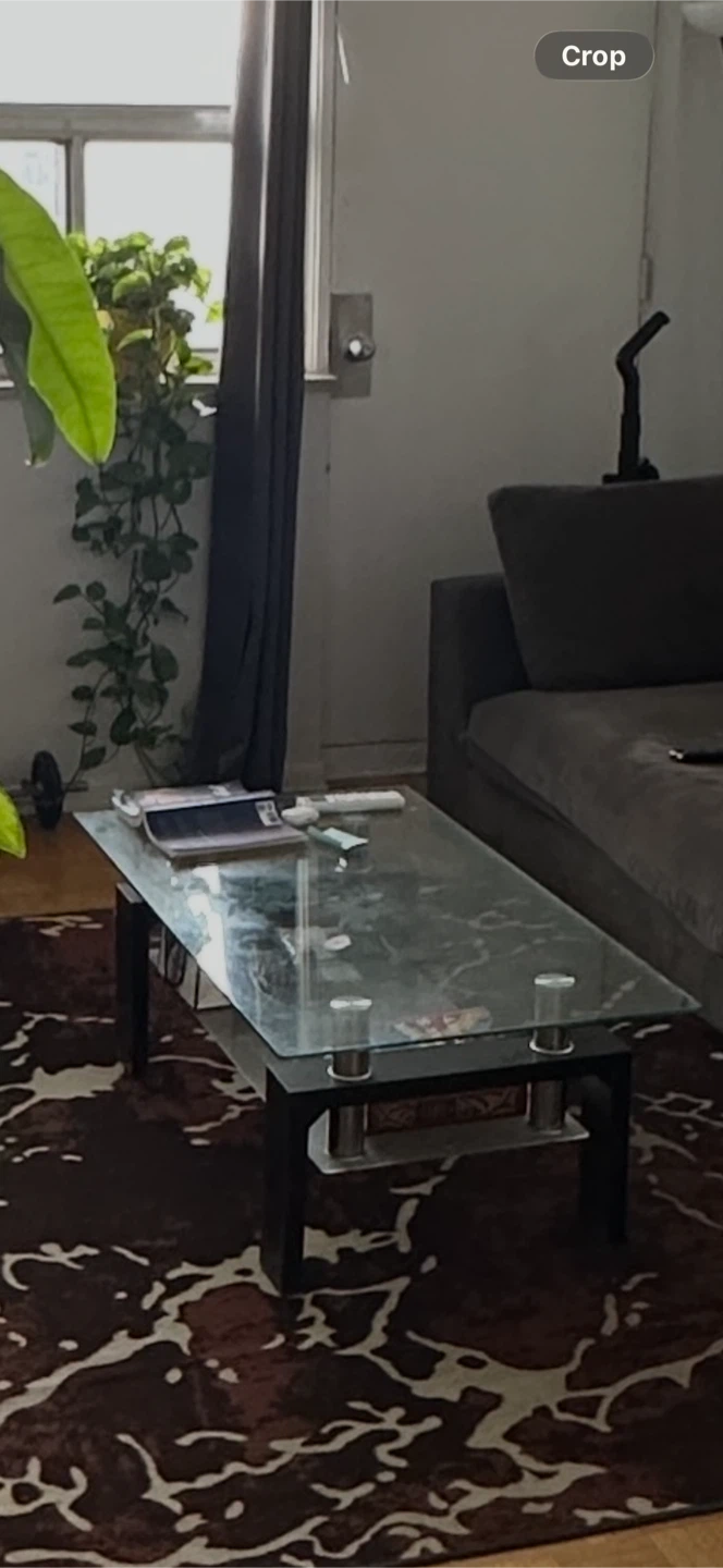 Modern Glass Coffee Table - photo 2
