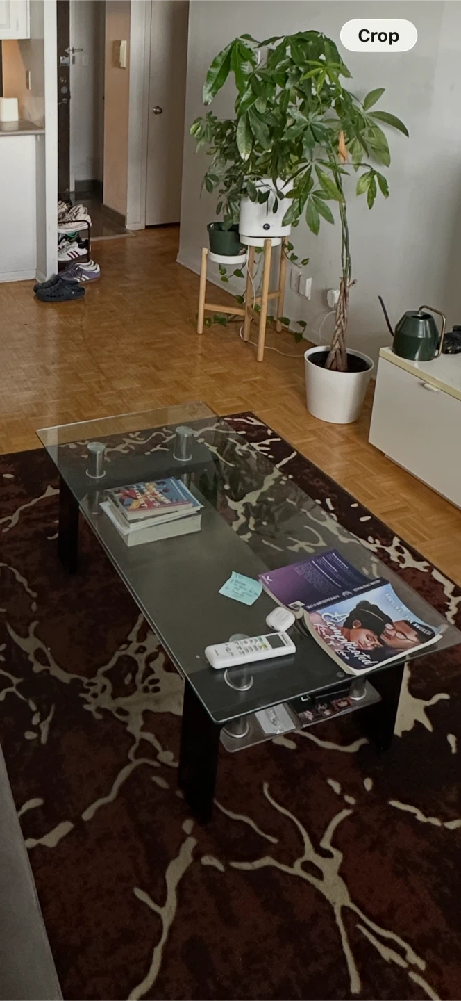 Modern Glass Coffee Table