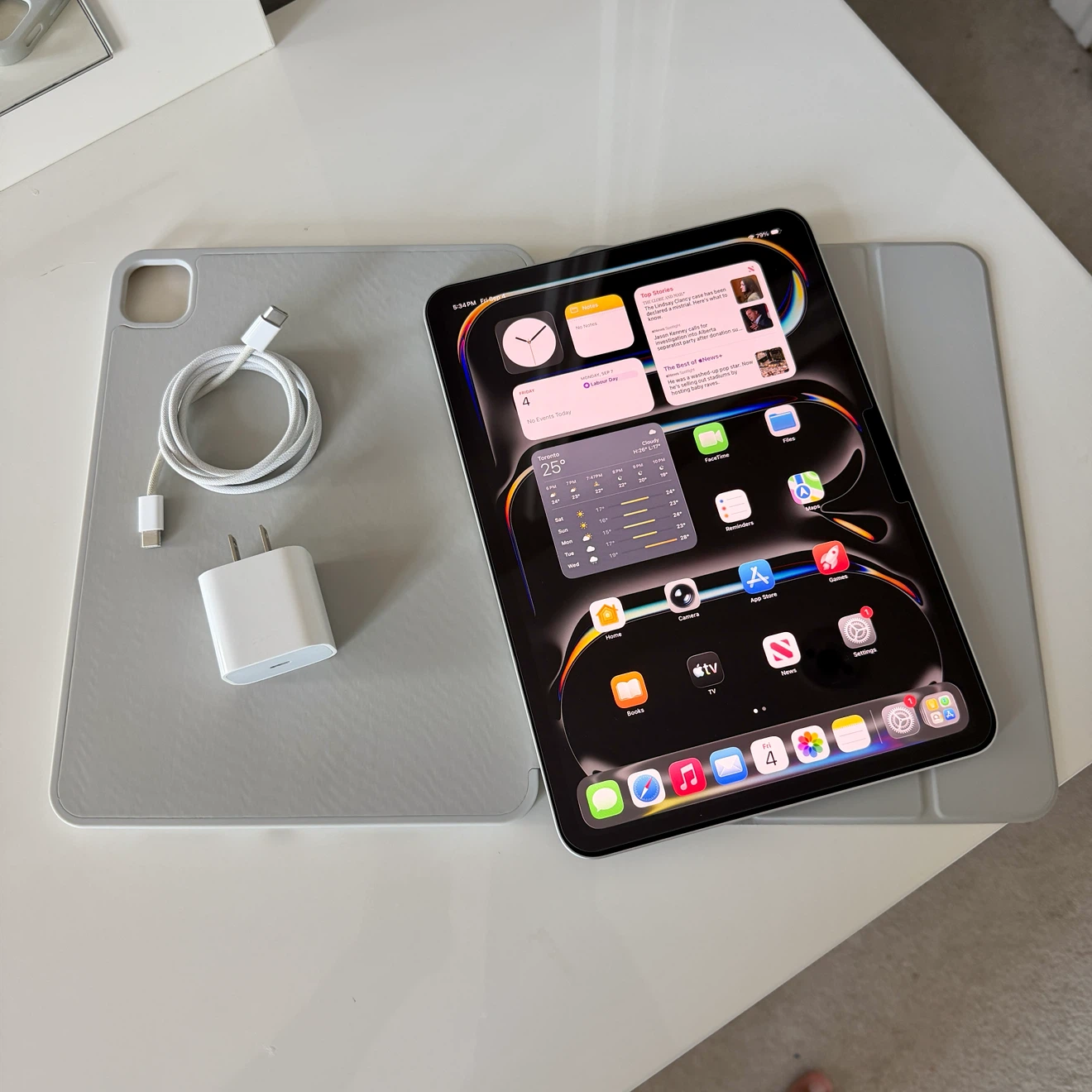 M4 / 512GB / IPad Pro 11" / 100% Battery