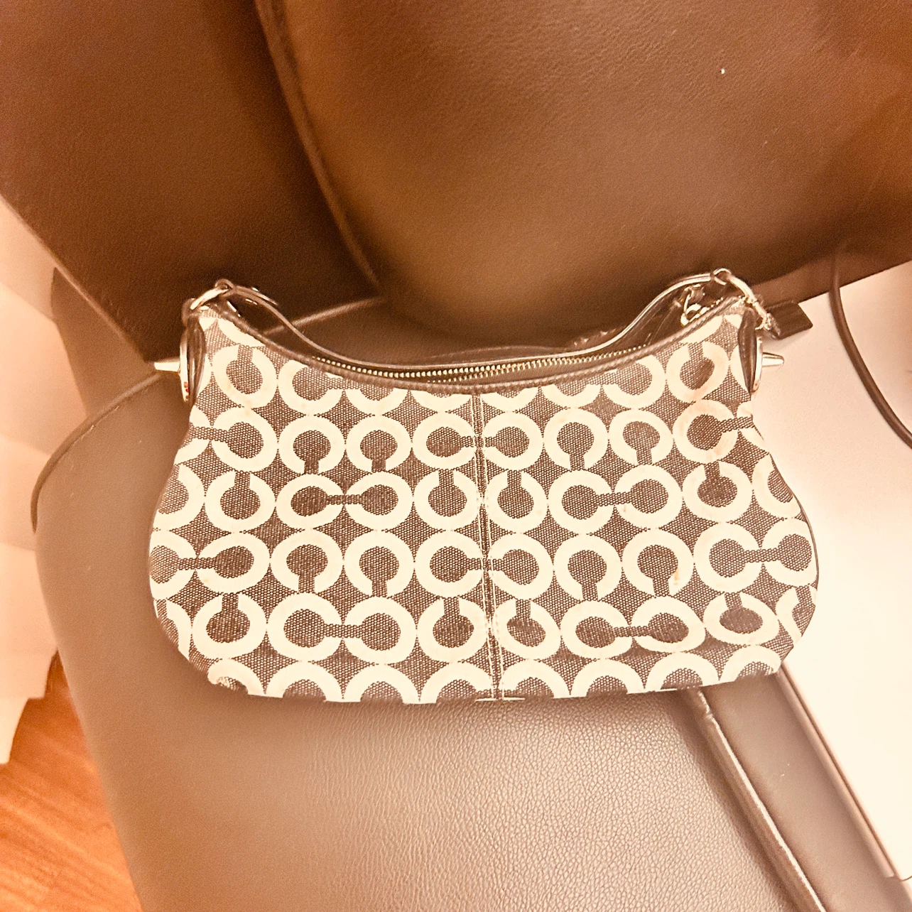 Coach Signature Mini Handbag