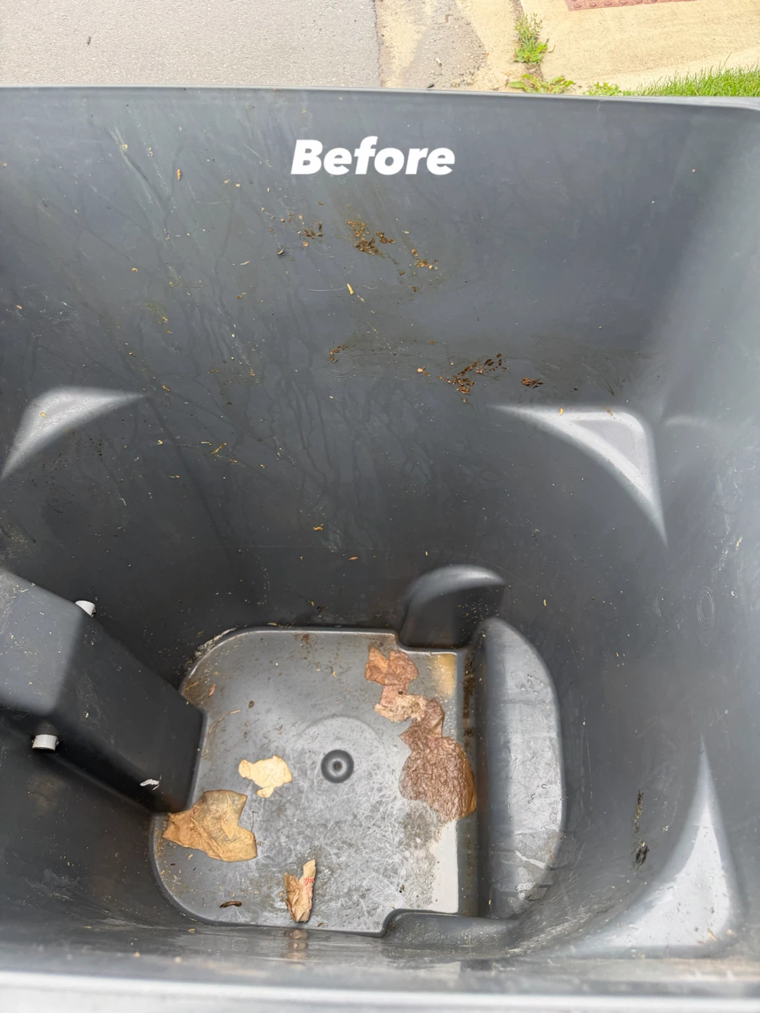 Professional Bin Cleaning Service - photo 2