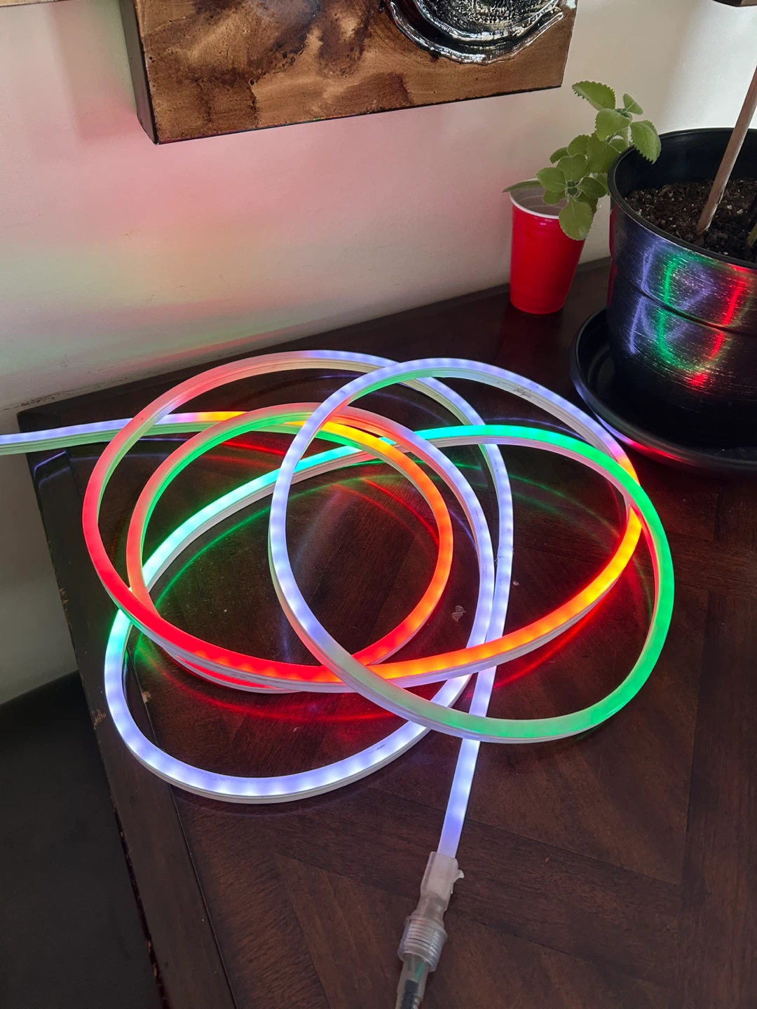 LED Neon Rope Light - photo 2