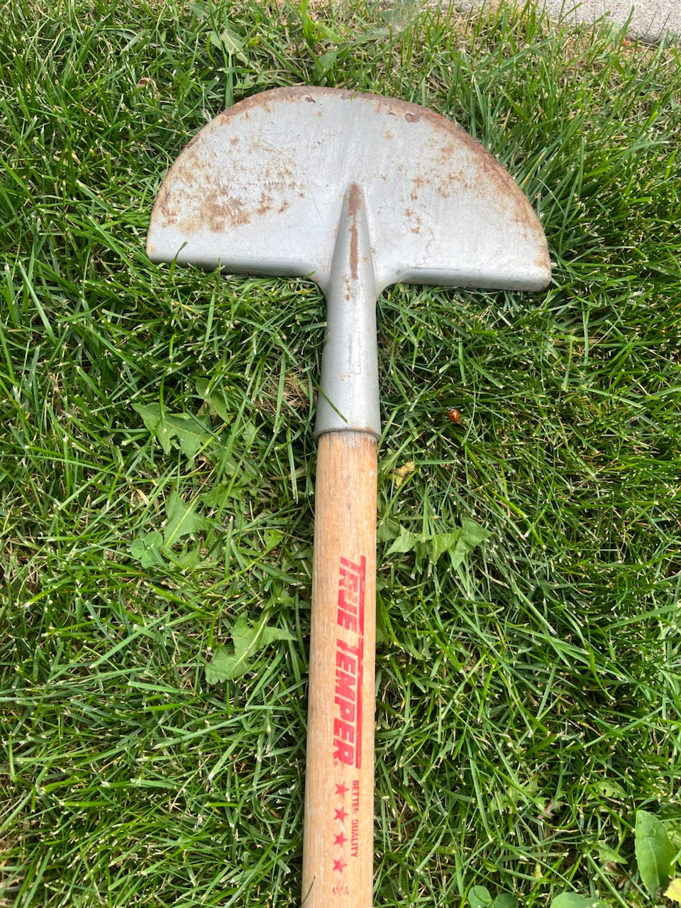 True Temper Lawn Edger - photo 3