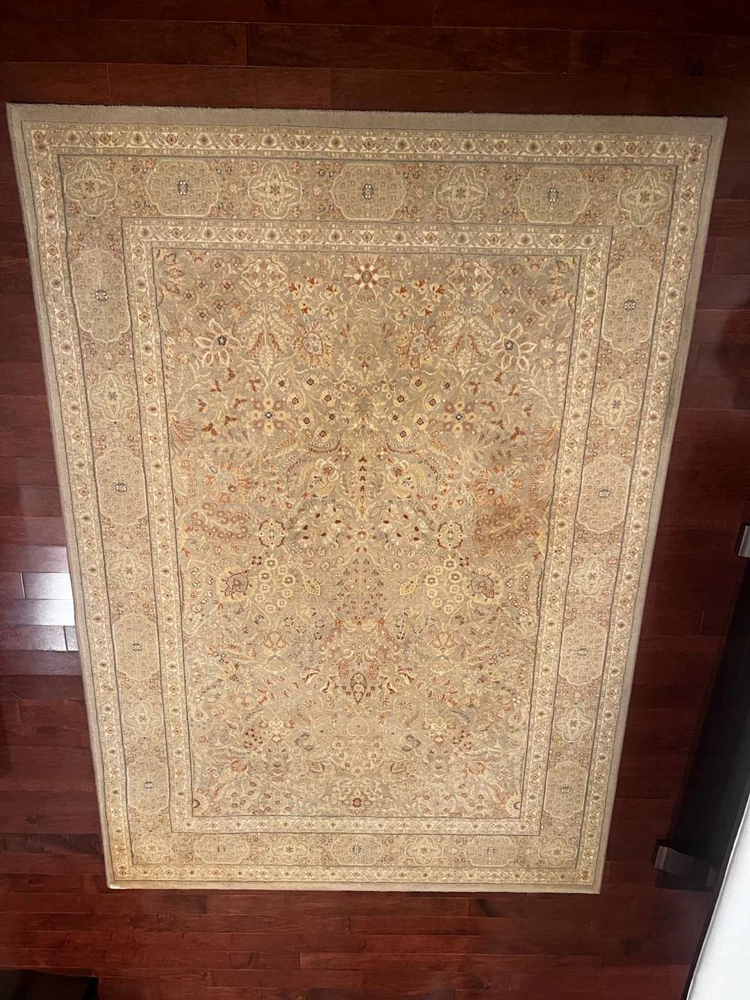 Traditional Patterned Area Rug