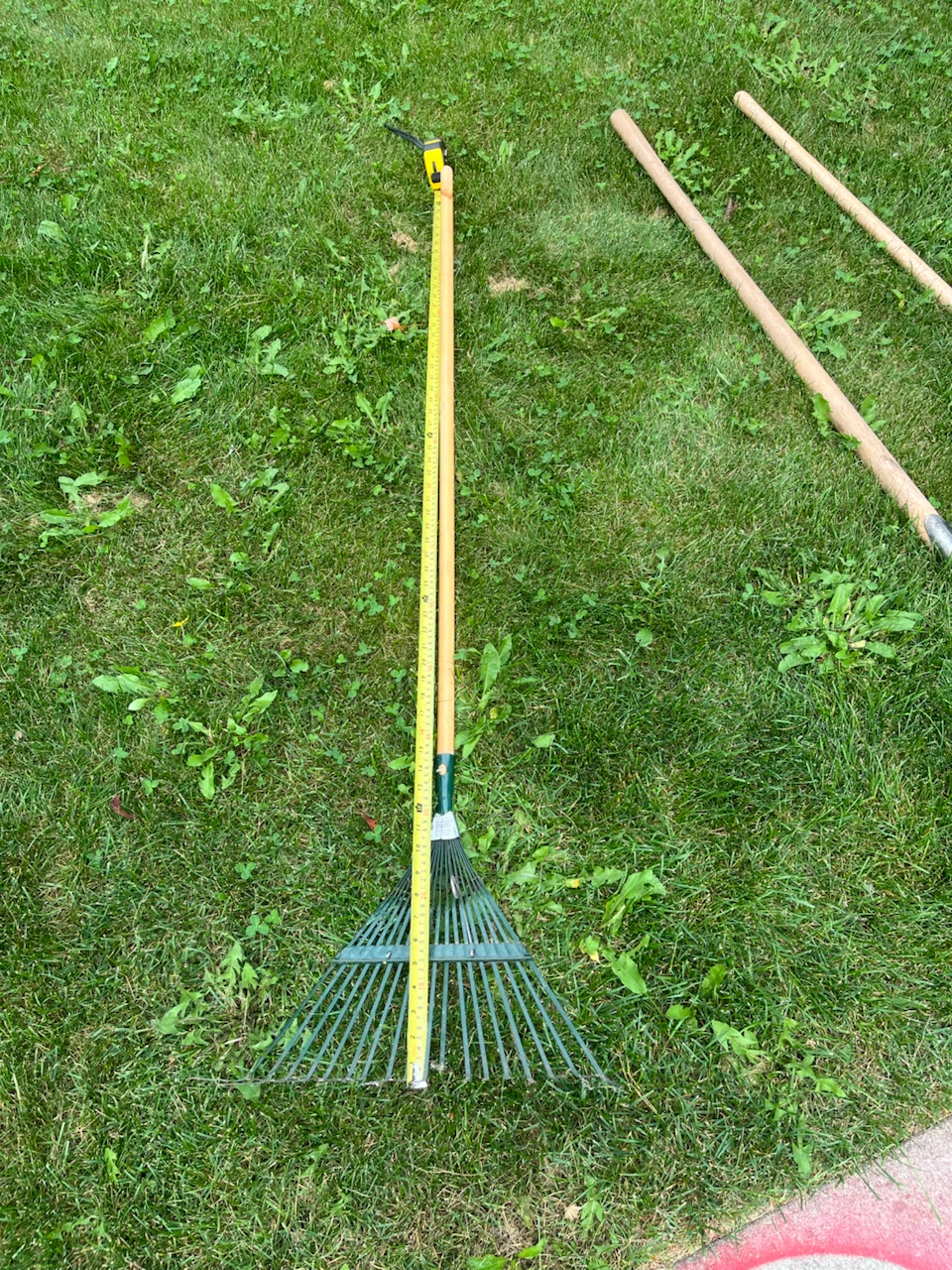 Garden Leaf Rake