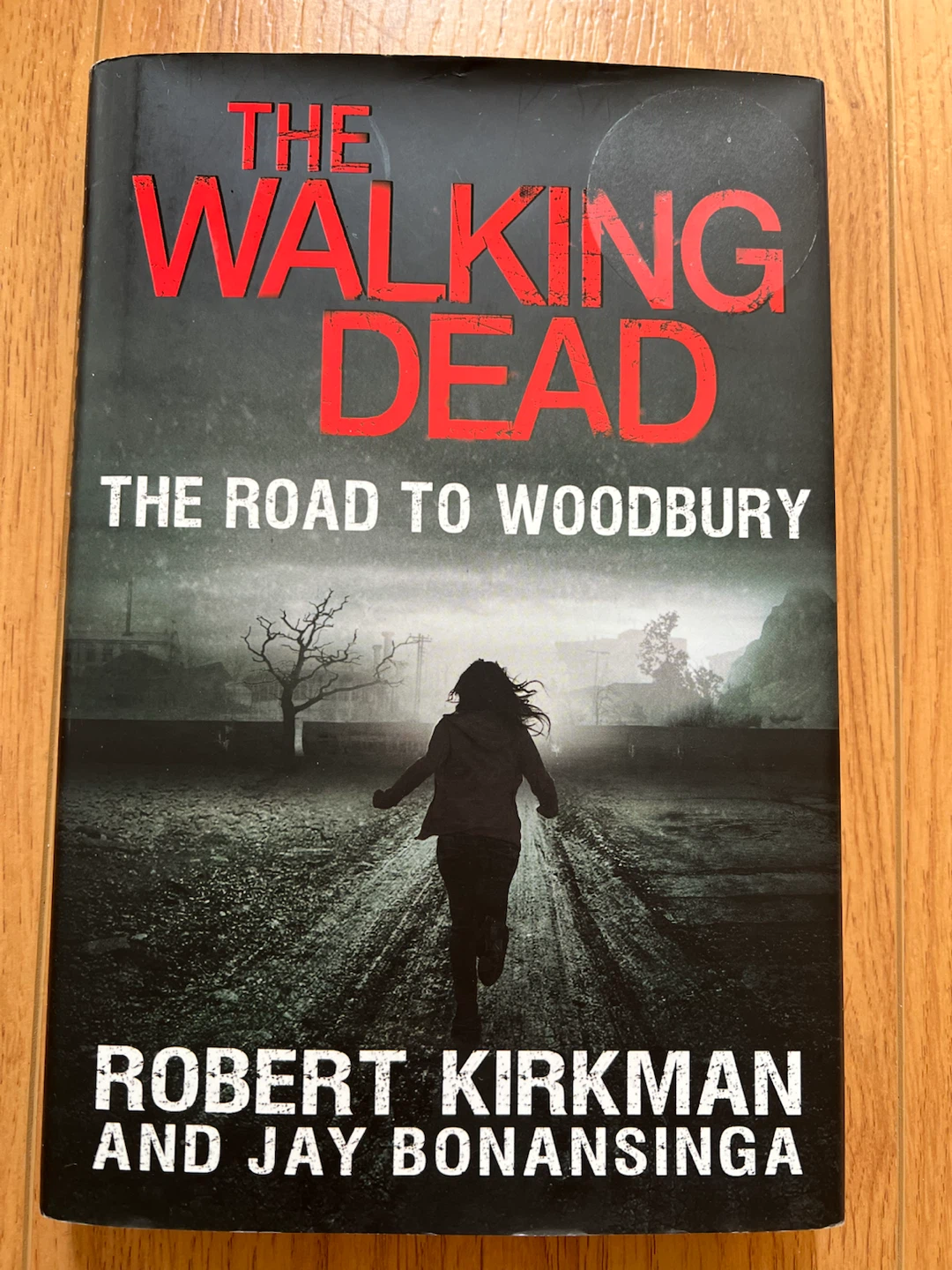 The Walking Dead: The Road to Woodbury