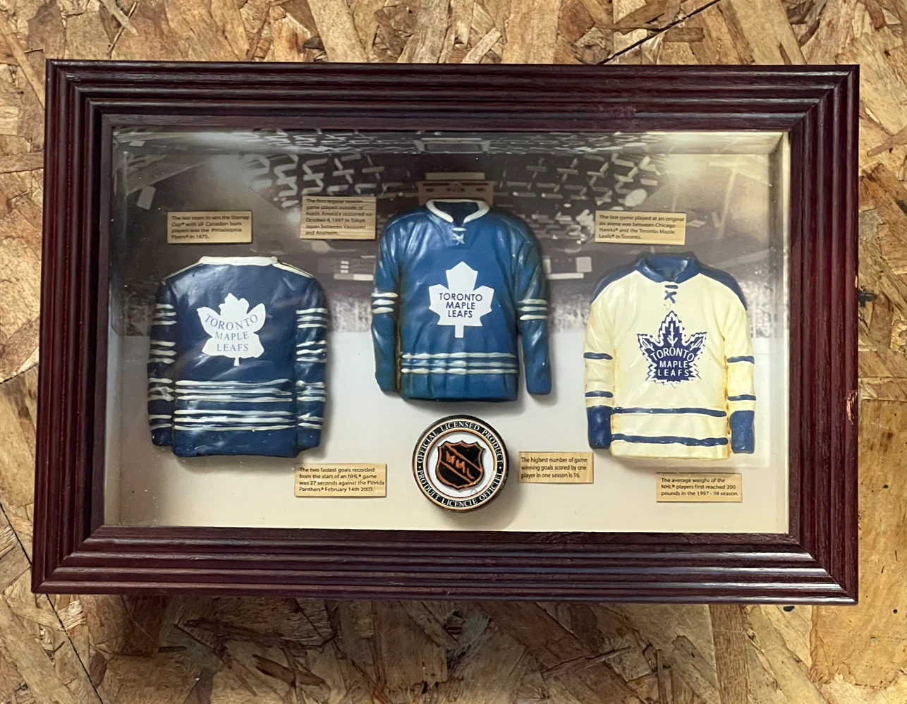 Toronto Maple Leafs Hockey Shadow Box