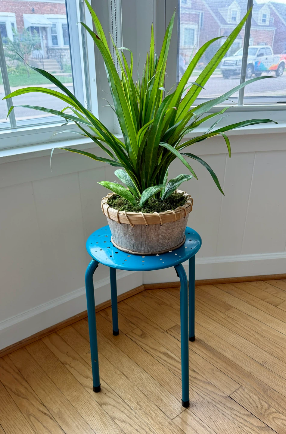 BLUE METAL PLANT STAND