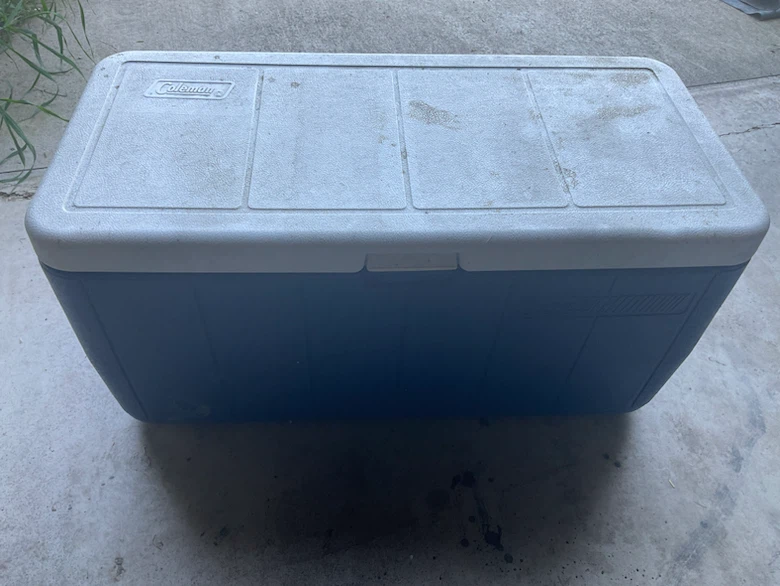 Coleman cooler