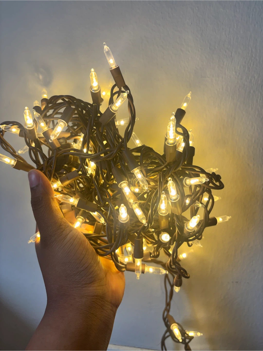 String Lights - photo 2