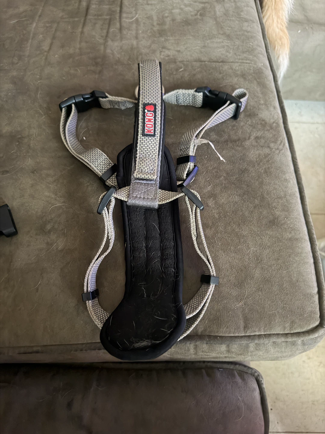 KONG Dog Harness
