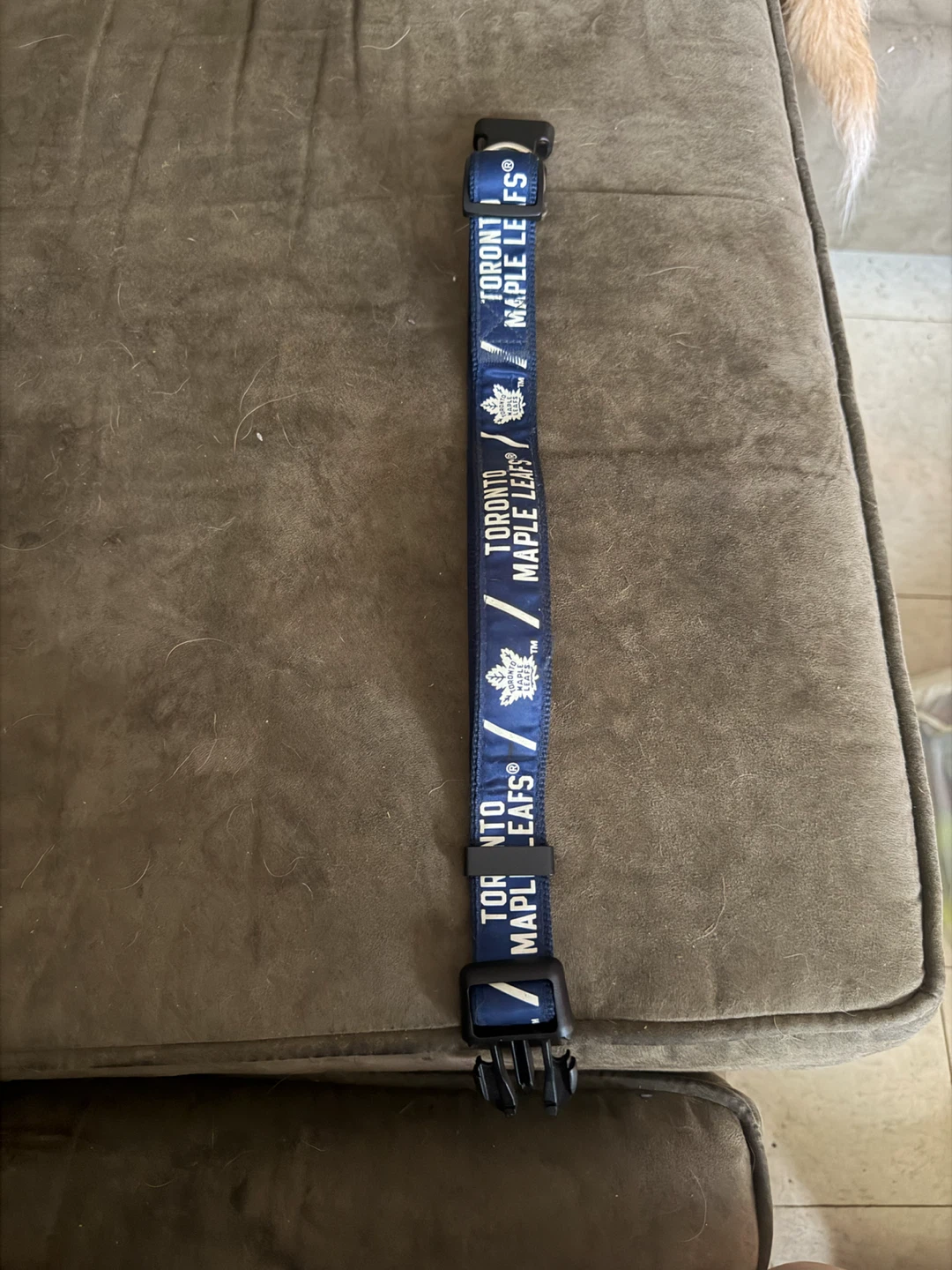 Toronto Maple Leafs Pet Collar
