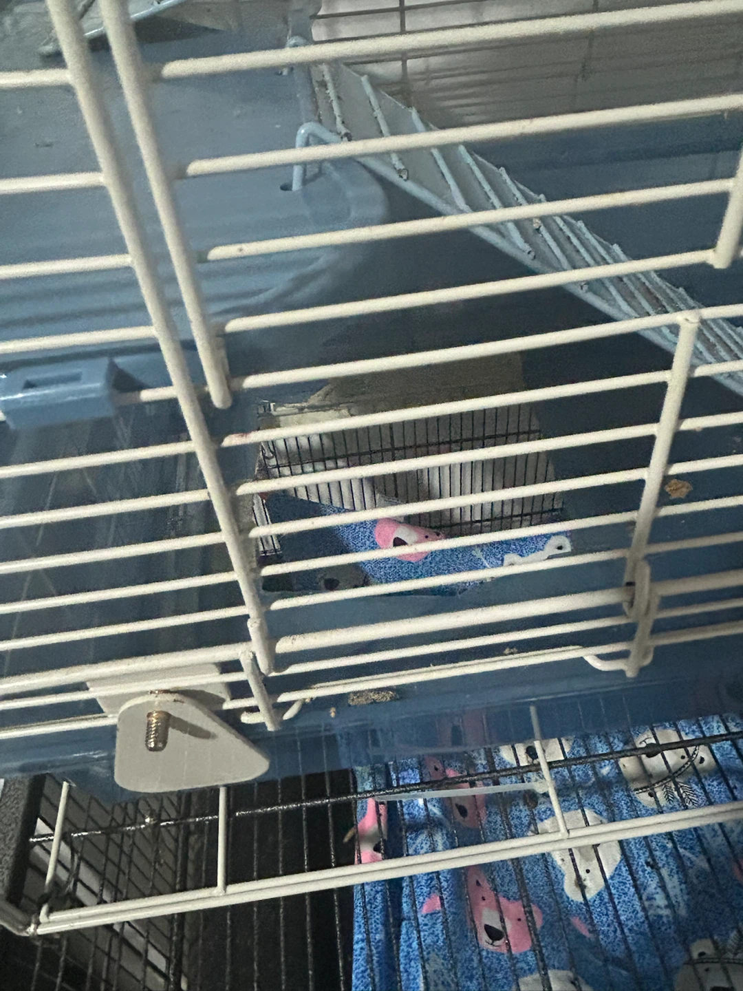 Small Pet Cage Add-on - photo 4