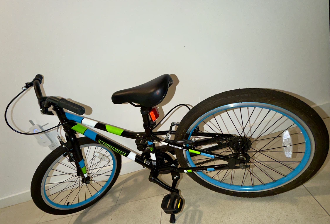 Guardian Ethos 20 Inch Kids Bike - photo 2