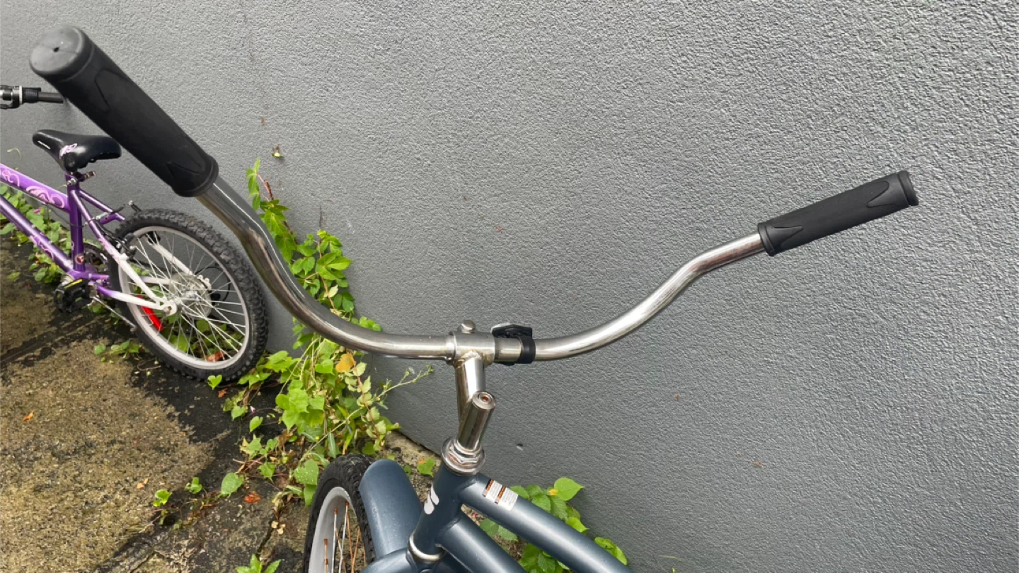 Supercycle Cruiser Bicycle - photo 2